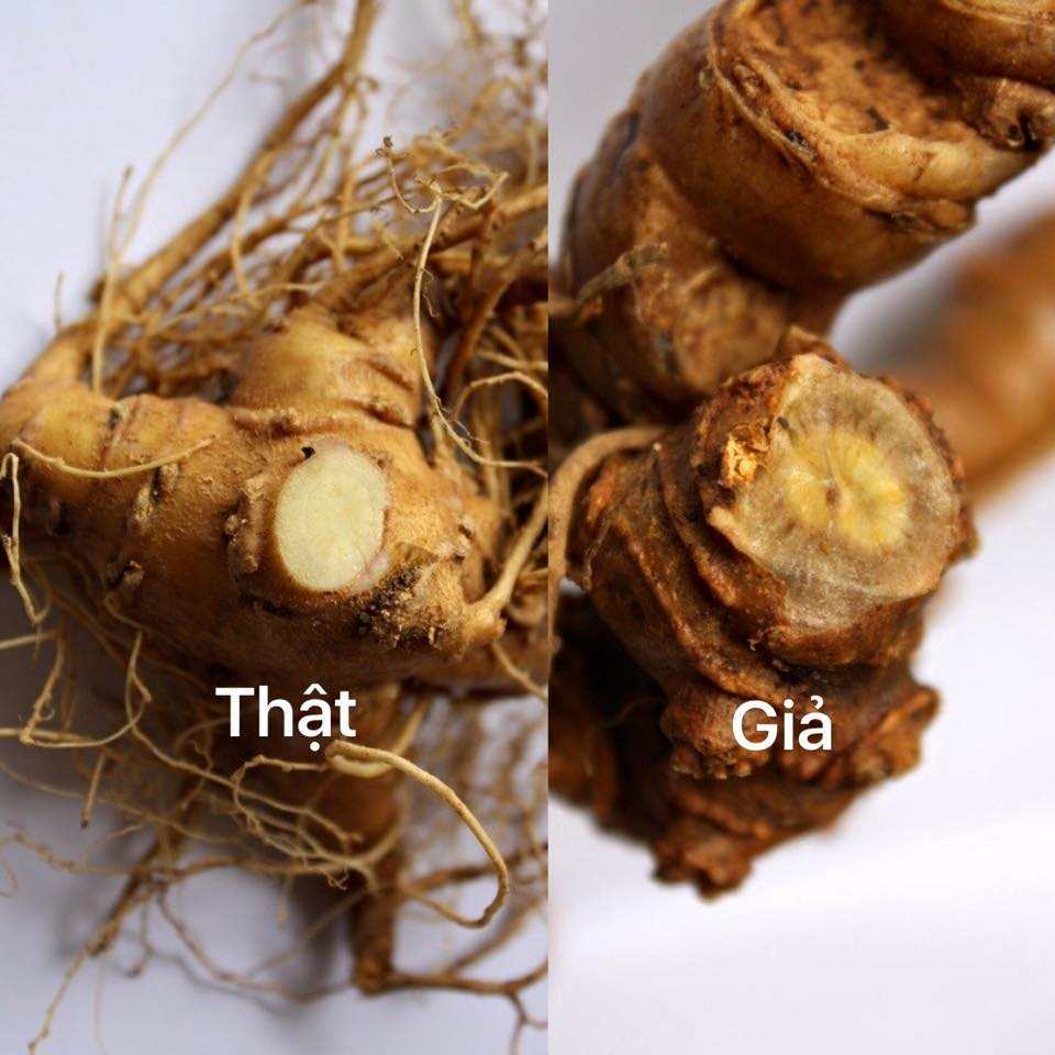 Sâm ngọc linh có tác dụng trong việc tăng cường chức năng sinh lý