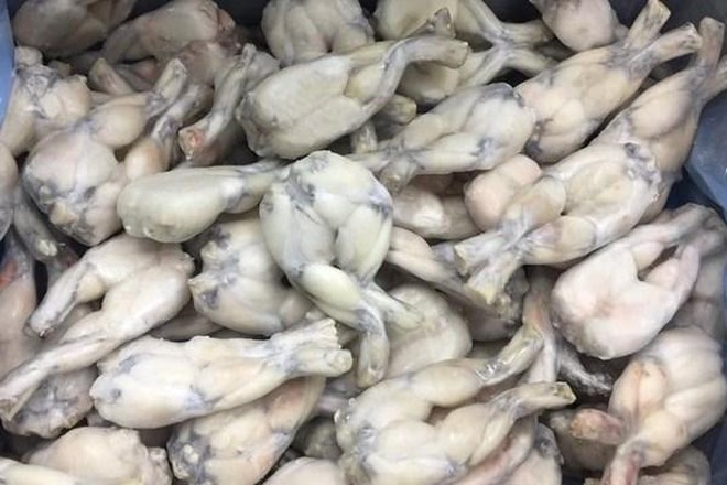 Đùi ếch tươi sạch - 250k/kg