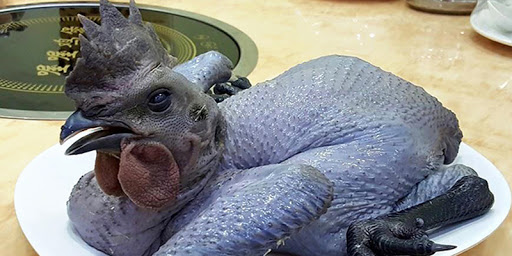 Gà đen HMông tiềm tứ quý