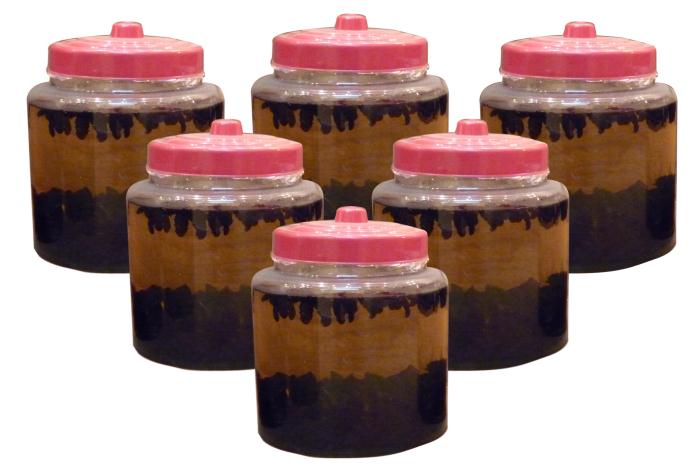 Bổ củi ngâm rượu - 6k/con