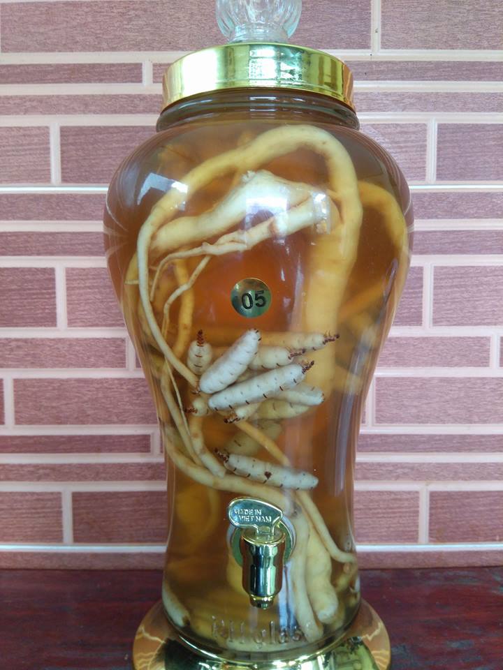 Mối chúa bao nhiêu tiền