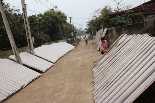 Mua bánh đa nem làng Chều tại Bình Phước uy tín ở đâu?