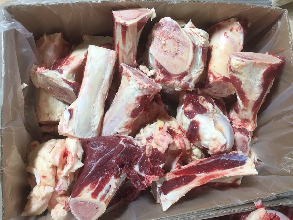 Xương bò là gì?