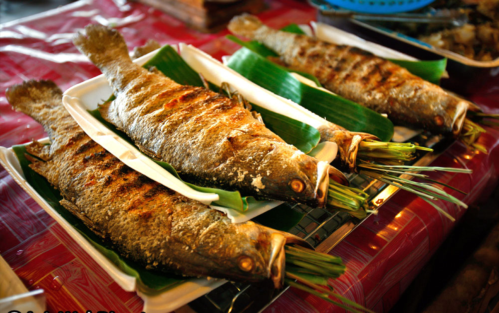 cá suối Mai Châu
