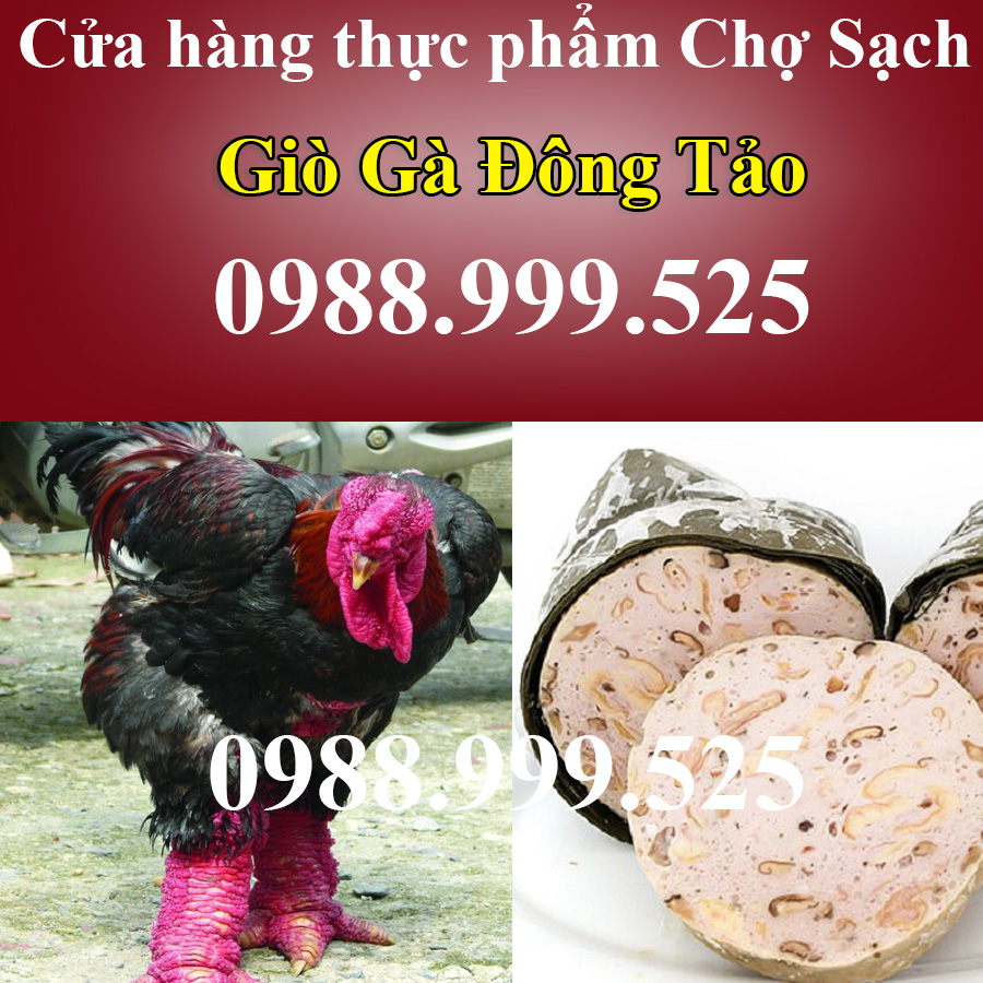 Tác dụng của gà đông tảo