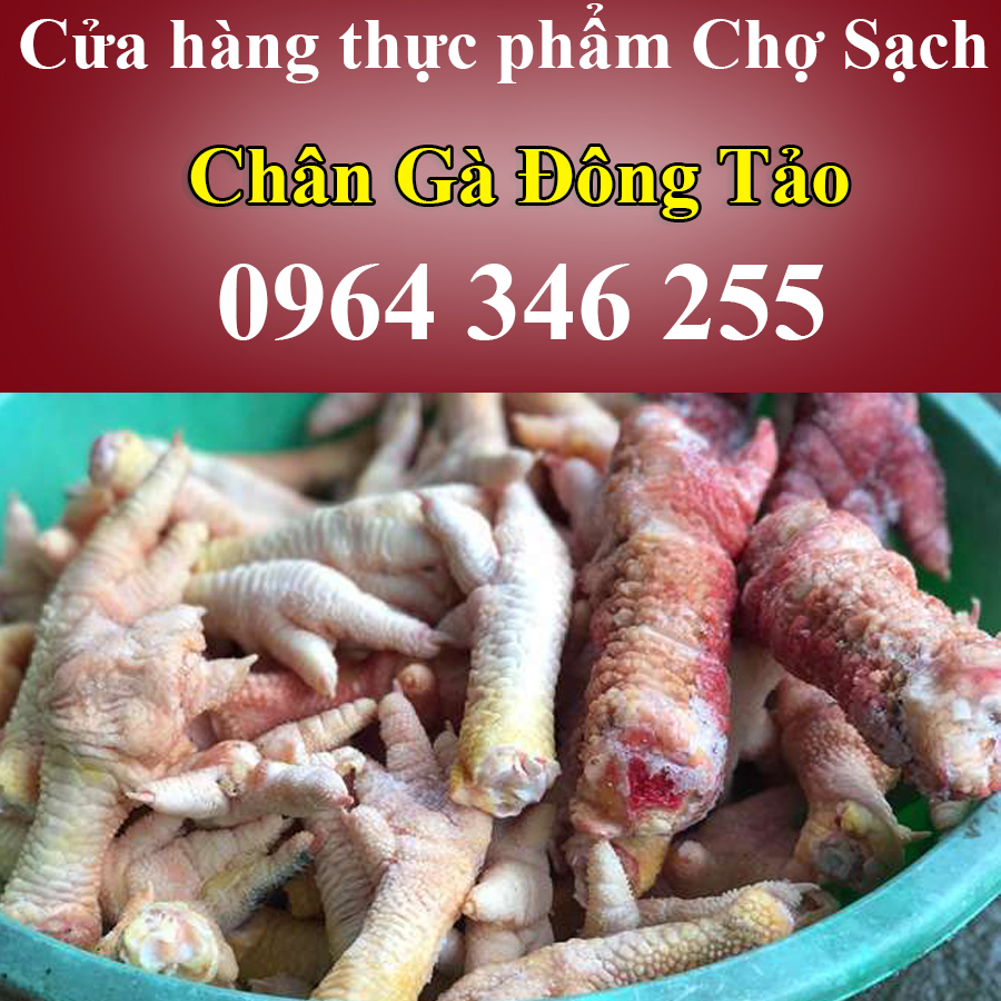 Giới thiệu về gà Đông Tảo