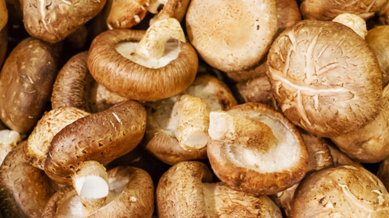 Cách phân biệt nấm hương Việt Nam và nấm hương Trung Quốc