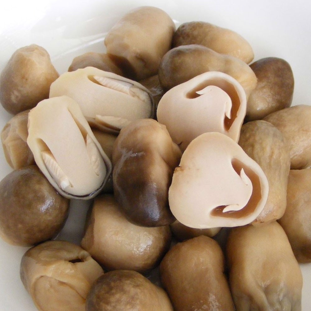 Công dụng của nấm rơm